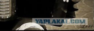 Веселые картинки _)