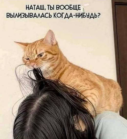 Картиночки, баянчики 24 января
