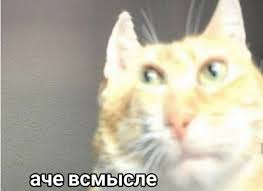 УК в Химках обещает убрать весь снег