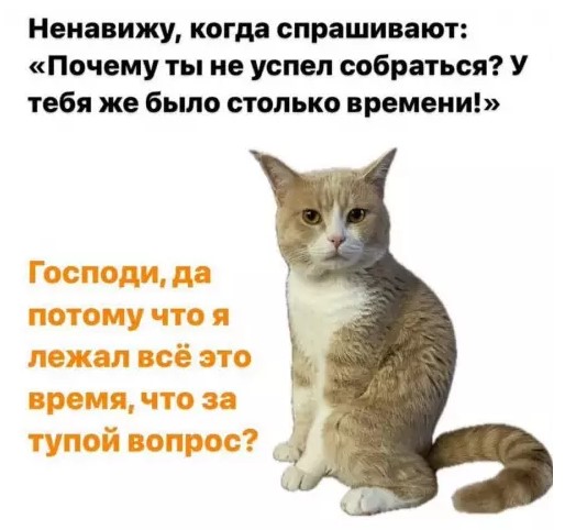 Картиночки, баянчики 28 марта