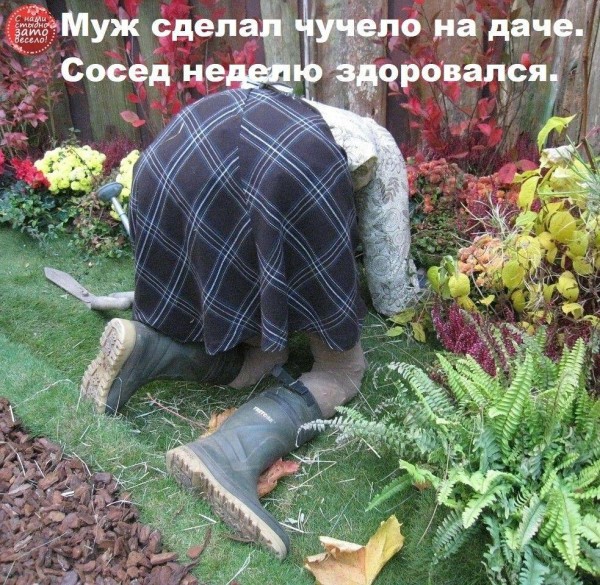 Картинки для деградации 239 (разной степени свежести)