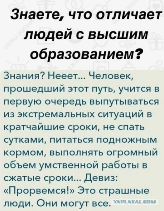 Картинки для деградации 245 (разной степени свежести)