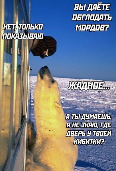 Могли и покормить хотя бы