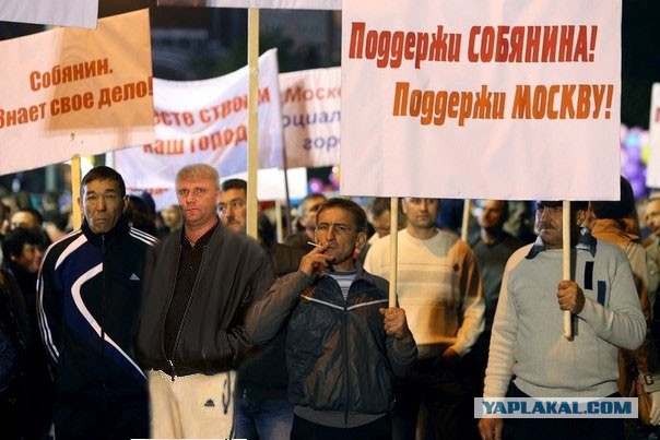 "Москвичи" за Собянина