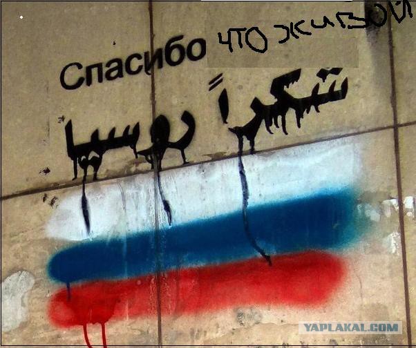 Сирийская армия и Сирийская свободная армия