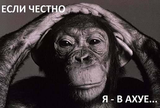 Свободу коту!