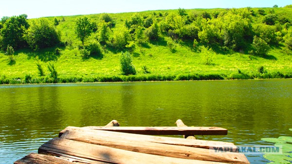 Некоторые факты о реке Дон