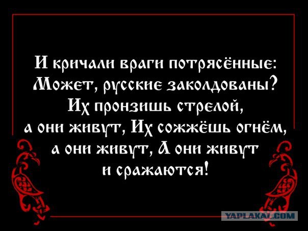 Стрелков просит помощи! ТВОЕЙ