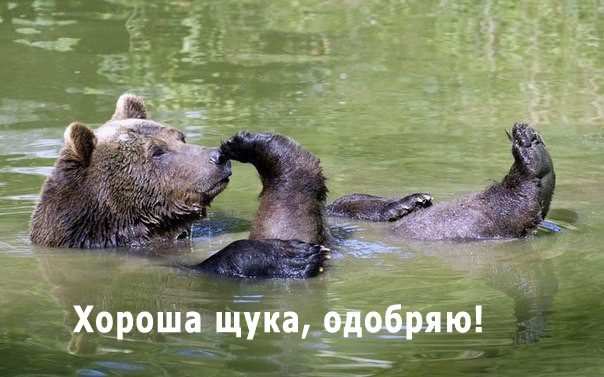 Вот такая рыбалка