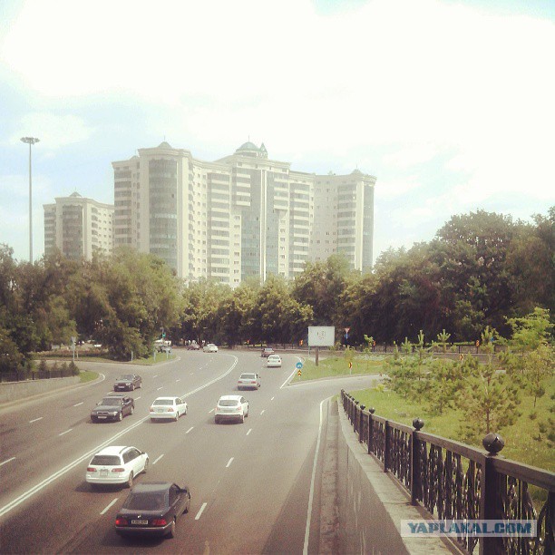 Жемчужина Казахстана! Almaty Tapok Edition