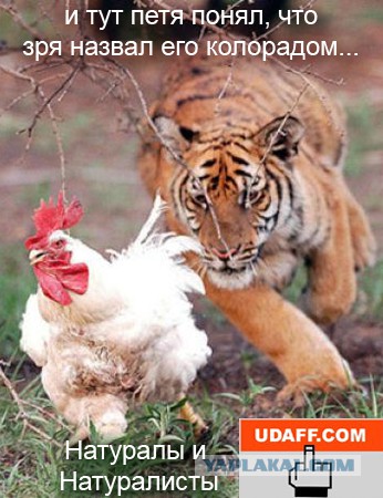 За последние сутки в плену у ДНР оказались 250