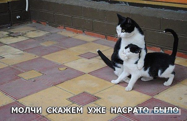 Мина заложена