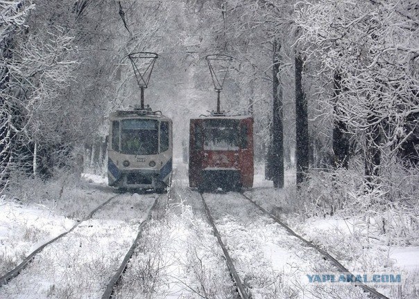 Зеленая миля