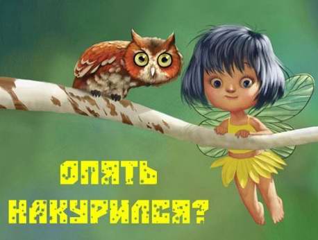 Подборка веселых картинок