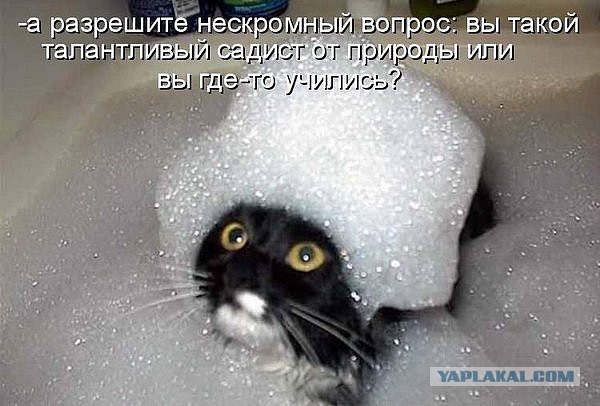 Смешные картинки
