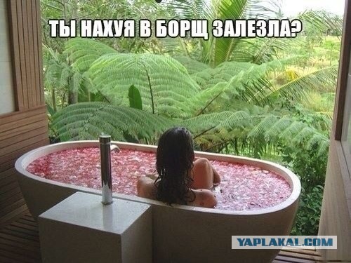 Подборка весёлых картинок