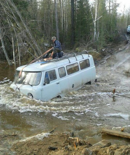 Весёлые картинки