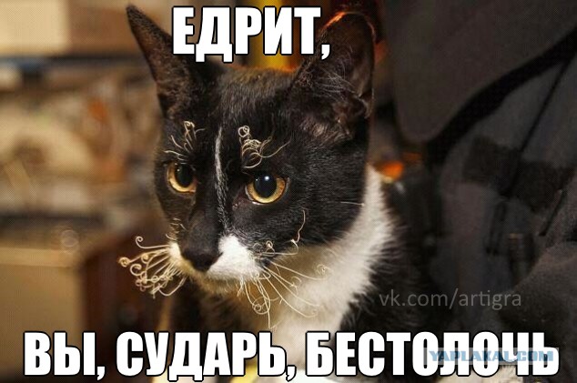 Как я чуть не сжег кота