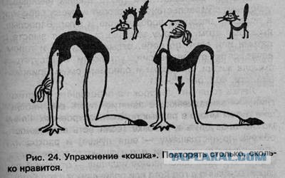 Есть два типа девушек...