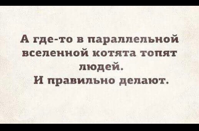 Прикольные истории из сети 6