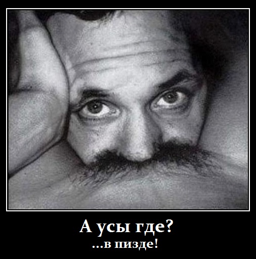 Просчай борода