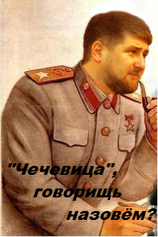 В Грозном изобразили штурм Рейхстага