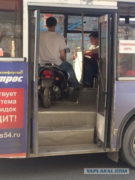 Просто картинки