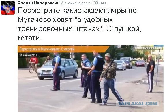 Перемирие кончилось, едва начавшись. Часть 12