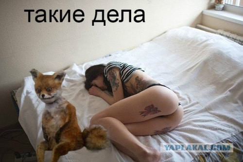 Картинки разные 2