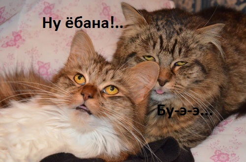 Подборка картинок ни о чём