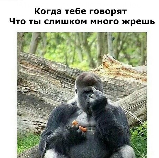 Абсурдный юмор ч.2