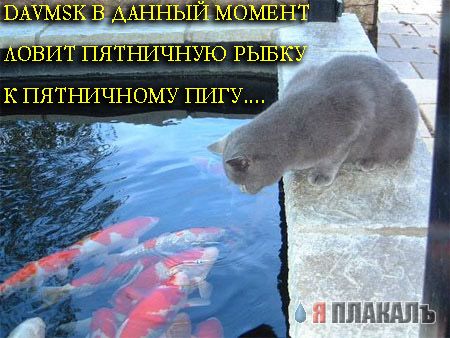 Уже да :) Ужо пятнецца...