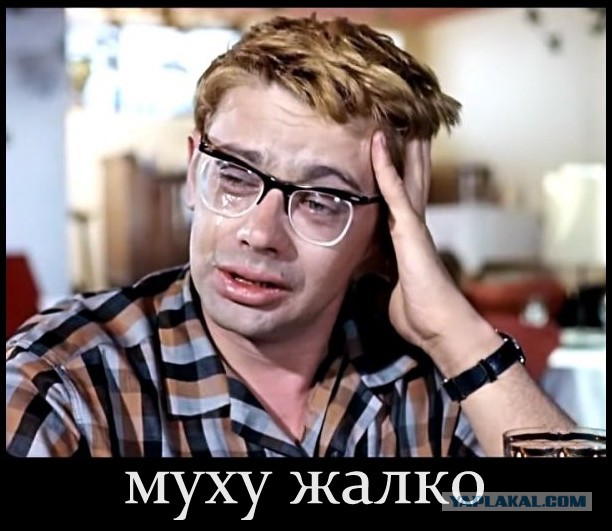 Мир в миллиметре