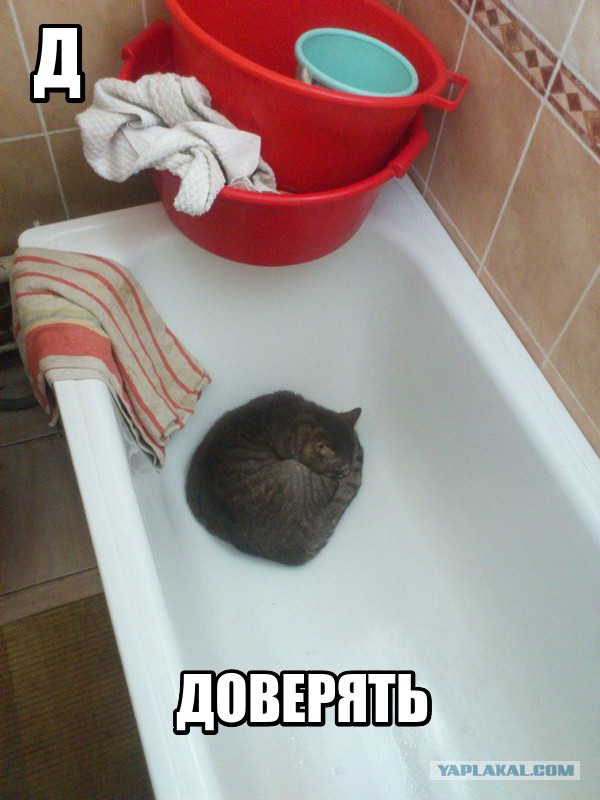 Воскресная подборка картинок