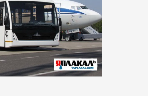 Автобусная авантюра от МАЗа, ставшая легендой