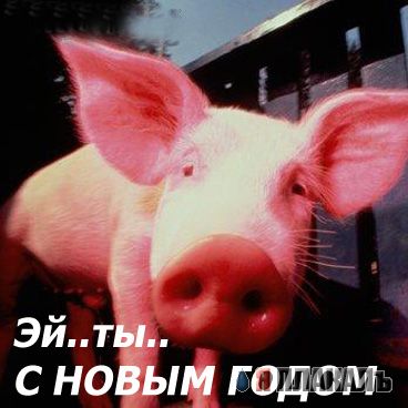С НОВЫМ ГОДОМ ЯПъ