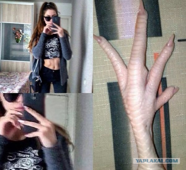 Подборка интересных и веселых фото