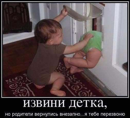 Прикольные картинки
