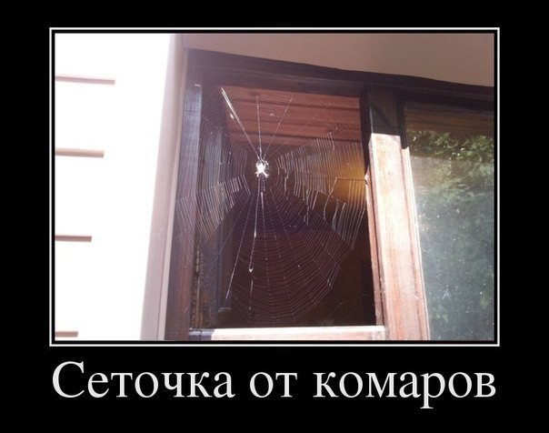 Картинки с этих ваших интернетов.