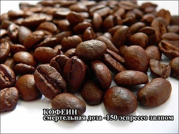 Немного картинок и гифок.