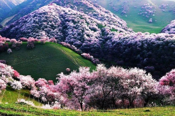 Картинки для отдыха глаз