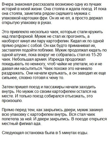 Всячина. Картинки