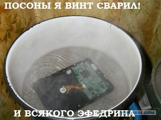 Порция картинок
