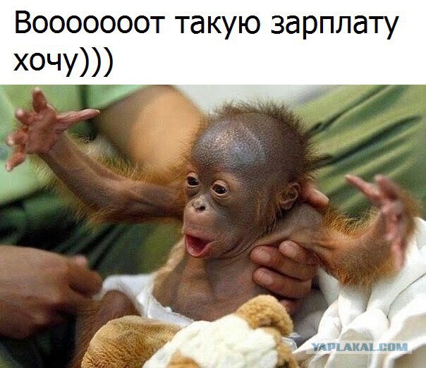Предательство новогоднее
