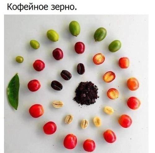Всячина. Картинки и тексты картинками