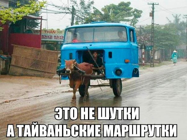 Подборка безудержного веселья