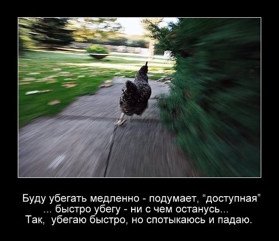 Картинки с глубочайшим жизненным смыслом