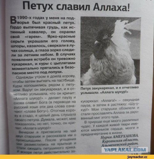 "Слегка" чёрный и абсурдный юморок