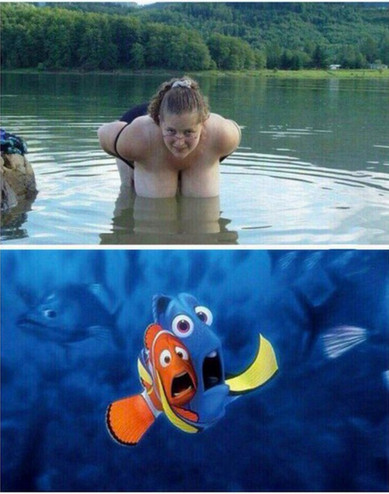 Прикольные картинки 30.06.2017.