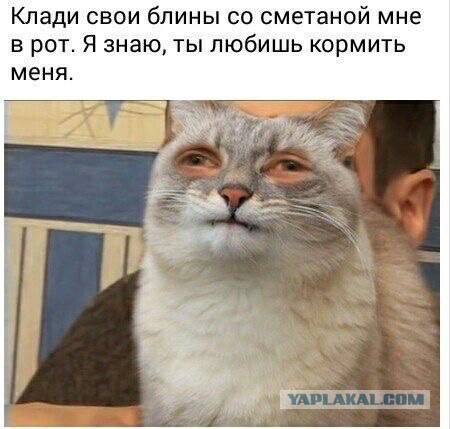 Ах. Этот прекрасный мир!